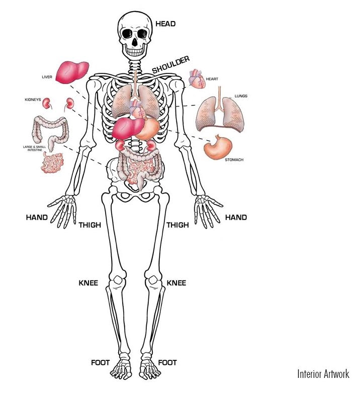 Load image into Gallery viewer, SkiL-Care Human Anatomy Gel Maze
