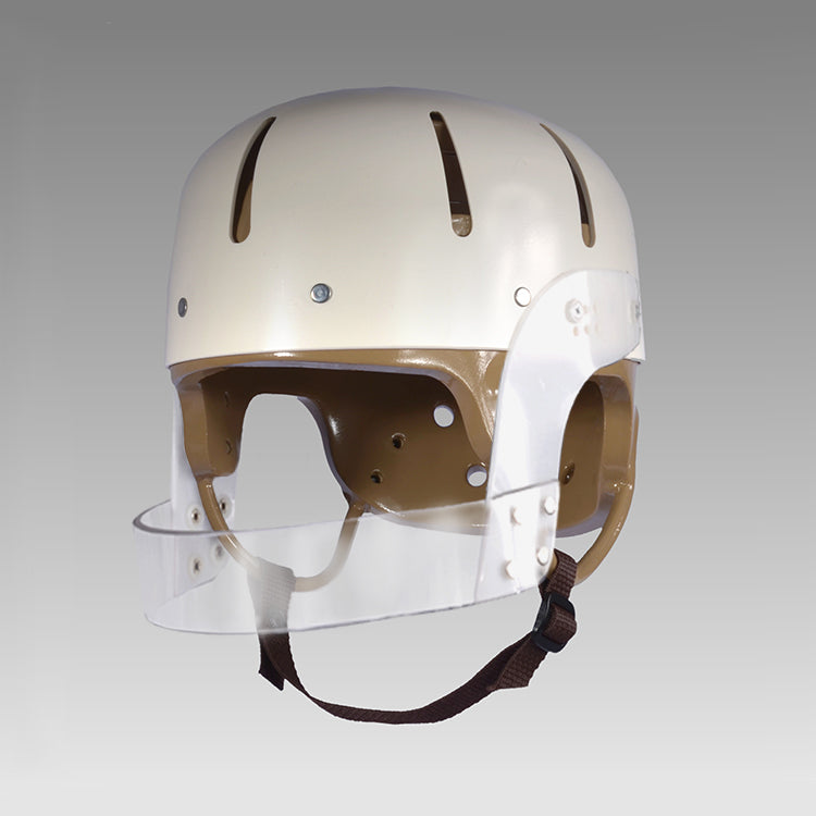 Load image into Gallery viewer, Danmar Hard Shell Helmet With Face Bar
