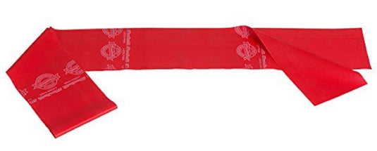 TheraBand Professional Pre-Cut Non-Latex Resistance Bands