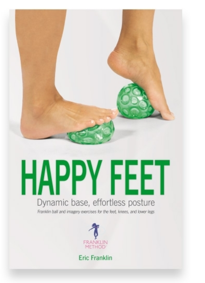 Load image into Gallery viewer, OPTP Textured Franklin Ball Set or Happy Feet Book - Dynamic Base, Posture
